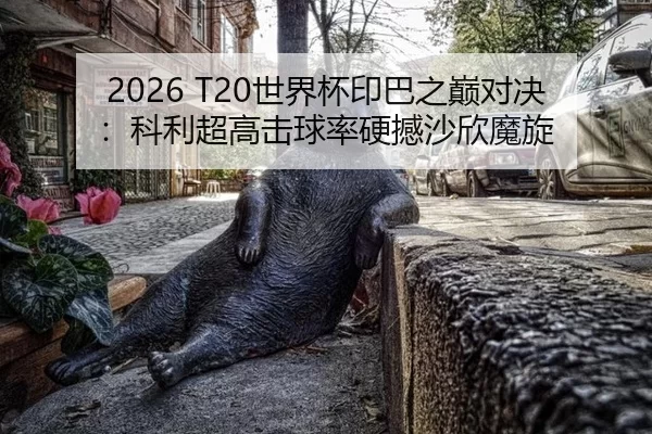 2026 T20世界杯印巴之巅对决：科利超高击球率硬撼沙欣魔旋